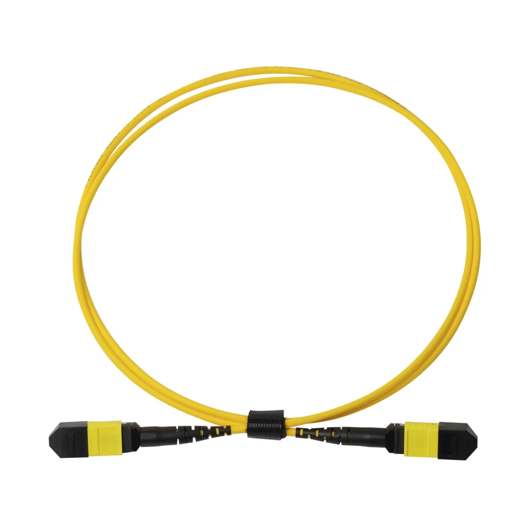 China 12/24/48/96/144 Core LC/Sc/St/FC MPO/MTP Connector FTTH Indoor Outdoor Armoured Drop LSZH PVC Fiber Optic Optical Patch Cord Pigtail Jumper Wire Cable